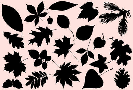 autumn leaves silhouette, autumn leaves, leaf silhouette, vector leaves, isolated leavesのイラスト素材