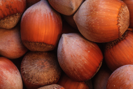 hazelnuts photo, hazelnuts background, raw nuts, nuts shell, hazelnuts pile, hazelnuts for sale,...