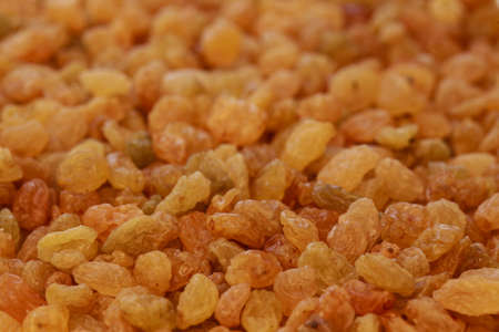 raisin texture, white raisin, green raisin, raw raisin, golden raisin, raisin photo, yellow raisin, macro raisin, dry raisin, raisin background, vegetarian organic foodの写真素材