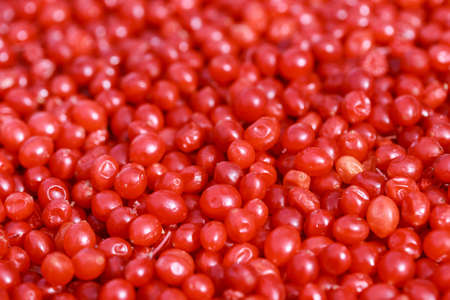 viburnum photo, viburnum texture, autumn viburnum, viburnum macro, red viburnum, viburnum berry, raw viburnum, viburnum background, viburnum branch, red viburnum berryの写真素材