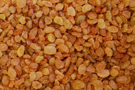 dry raisin, raisin background, raisin texture, white raisin, green raisin, raw raisin, golden raisin, raisin photo, yellow raisin, brown raisin, vegetarian organic foodの写真素材
