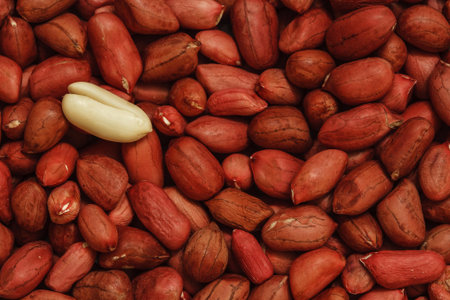 dry peanut photo, raw red groundnut background