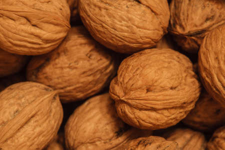dry walnuts photo in the nutshell, circassian walnutsの写真素材