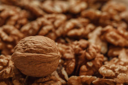 peeled walnuts, walnut photo, walnuts background, raw walnuts, dry walnut photoの写真素材