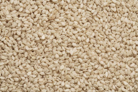 sesame seed background, sesame photo, peeled sesame, white sesame seedの写真素材