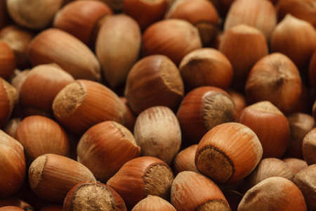 hazelnuts photo, hazelnuts background, raw nuts, nuts shell, hazelnuts pile, hazelnuts for sale, hazelnuts macroの写真素材