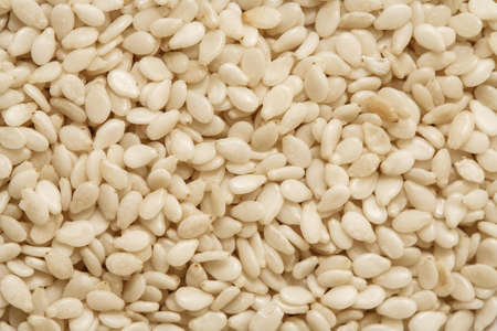 sesame seed background, sesame photo, peeled sesame, white sesame seedの写真素材