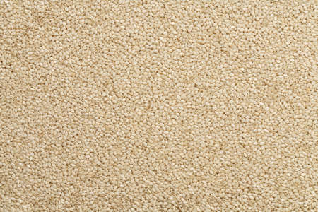 sesame seed background, sesame photo, peeled sesame, white sesame seed, sesame pileの写真素材