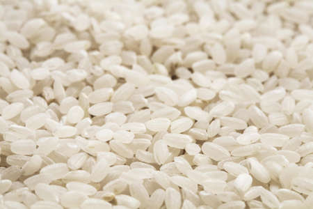 white rice, asian rice, rice background, polished white riceの写真素材