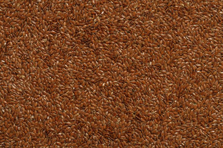 flax seed background, flax seed photo, linen seed, raw flax, flax pileの写真素材