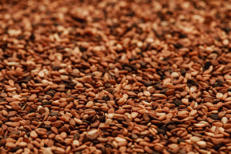 sesame seed background and textured, common ingredientの写真素材