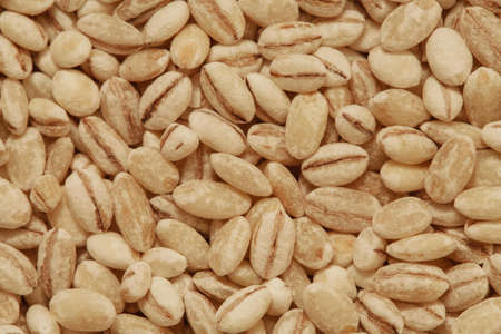 Many pearl barley macro close up backgroundの写真素材
