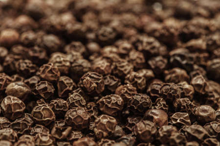 dry black pepper seeds photo, natural spiceの写真素材
