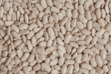 closeup of a pile of dry white beansの写真素材