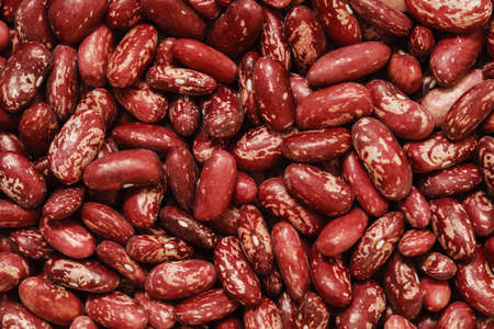 raw and dry red azuki beans photoの写真素材