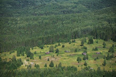 abandoned house in the woods, old russian village top view