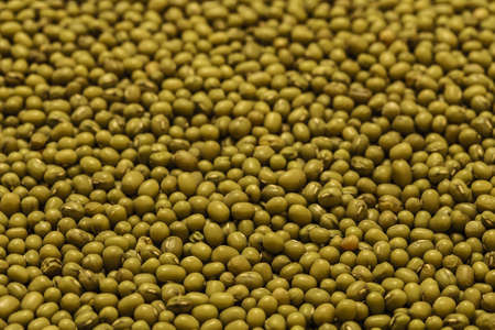 green bean or mung bean closeupの写真素材