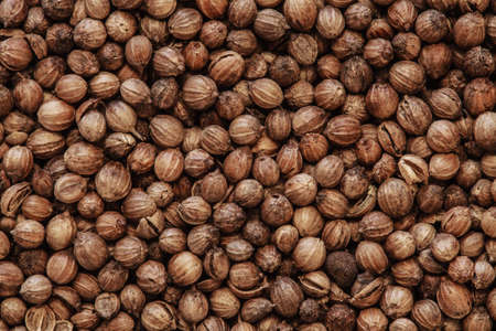 coriander seeds macro photoの写真素材
