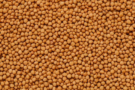mustard seeds backgroundの写真素材