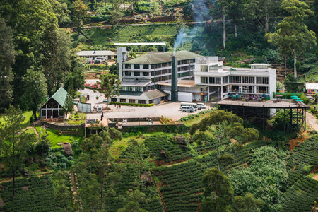 Labookellie, Sri Lanka. September 5, 2019: Damro Labookellie tea factory close to Nuwara Eliya