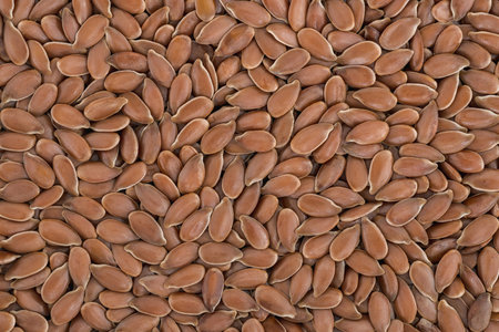 Close up photo of brown linen seeds. Top view high resolution macro photo.