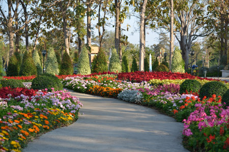 A walkway its way through a beautiful garden.の写真素材