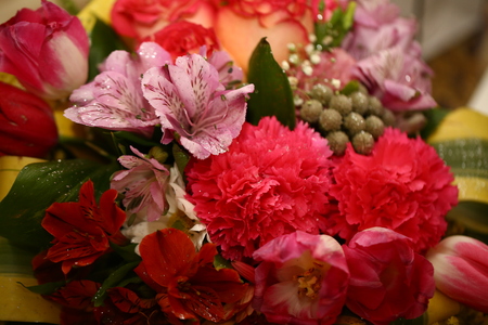 Bunch of flowers. Beautiful purple colored tulip flowers background.の写真素材