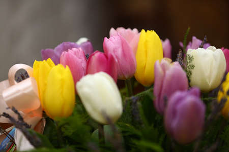 Bunch of flowers. Beautiful purple colored tulip flowers background.の写真素材