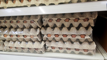 Brightly Lit Store Shelf With Packaged Eggs Ready For Shopping
