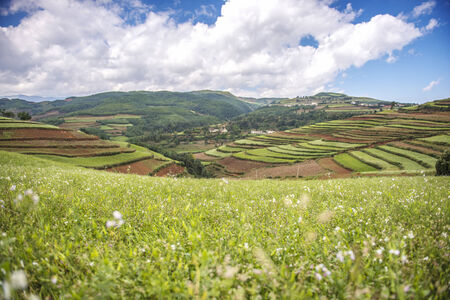 Hongtudi, Red soil of Yunanの写真素材