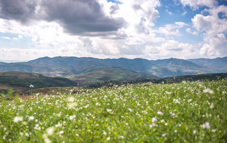 Hongtudi, Red soil of Yunan