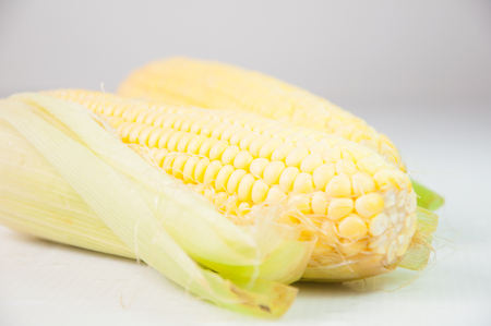 An ear of corn isolated on a white backgroundの写真素材
