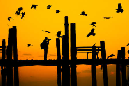 siluate photograph taking bird ,U Bein bridge, Mandalay, Myanmarの写真素材