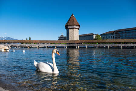 Famous Chapel bridge in Lucerne in a beautiful summer day, Switzerlandの写真素材