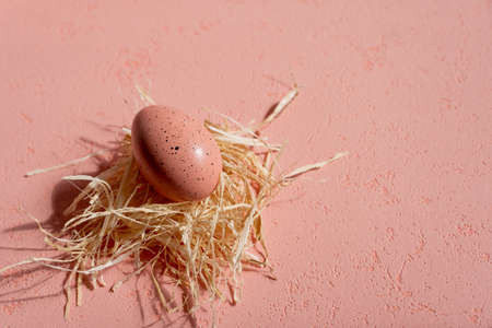 One pink Easter egg in the hay on a pink backgroundの写真素材