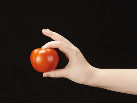 Childs hand with tomatoeの写真素材