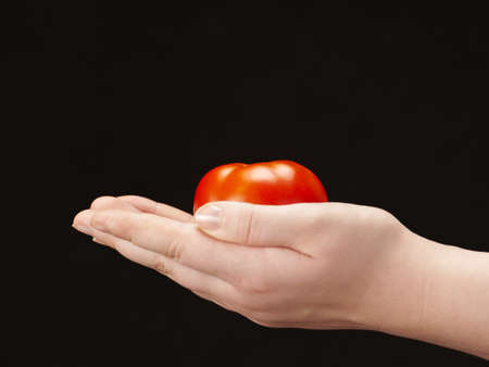 Tomatoe in the hands of child - palms facing upの写真素材