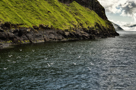 Landscape in Vestmannasund in the Faroe Islandsの写真素材