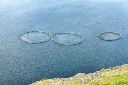 Salmon farmingの写真素材