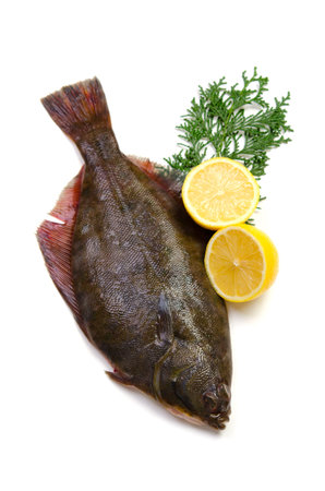 flatfish