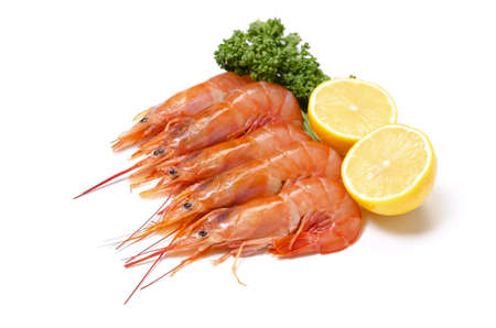 argentine red shrimpの写真素材