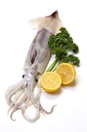 japanese common squidの写真素材