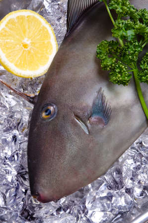 black scraperの写真素材