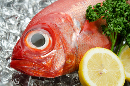 alfonsino