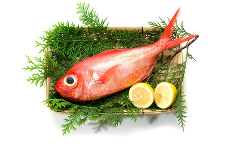 alfonsinoの写真素材