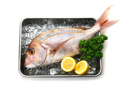 red sea bream