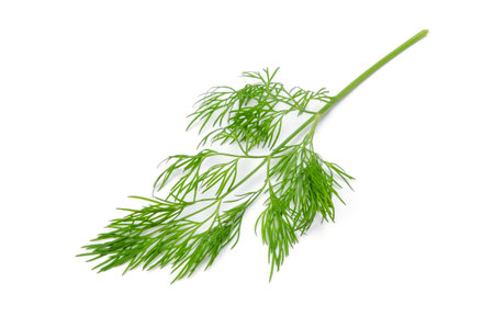 dill