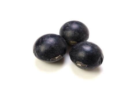 black soybeanの写真素材