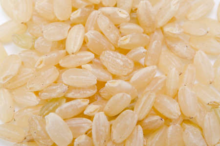 unpolished riceの写真素材