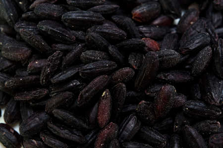 black riceの写真素材